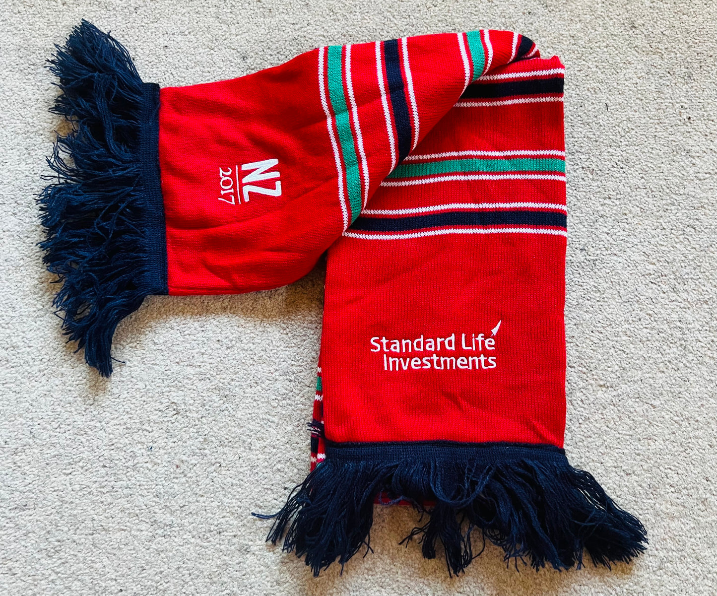 Lions Scarf